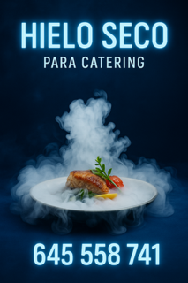 CO2 solido urgente en Madrid para restaurantes con entrega rápida y segura